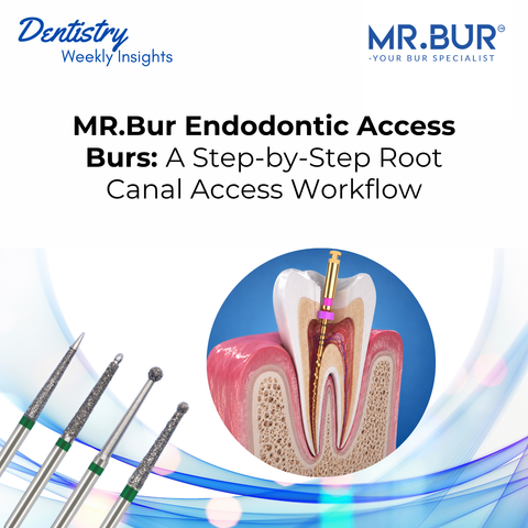 MR.Bur endodontic access burs for root canal treatment showing dental burs and an endodontic file used from access cavity preparation to canal instrumentation