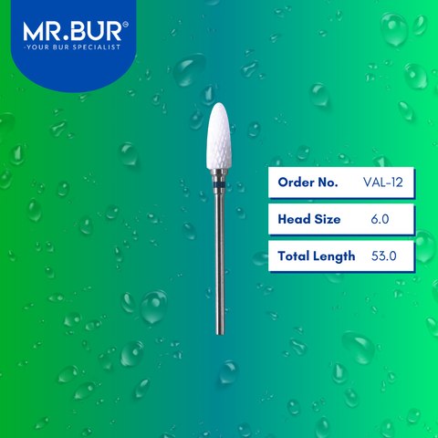 Composite Diamond Polisher Sets with Valplast Polisher